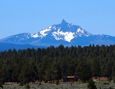 [Top of this mountain are several bumps which appear to be like the knuckles on a hand. There is no snow on that part of the mountain but there is snow at lower levels of it. In the foreground is a mass of evergreens and a home.]